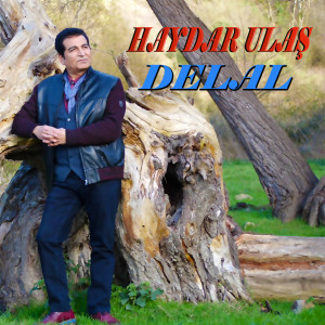 Album Delal from Haydar Ulaş