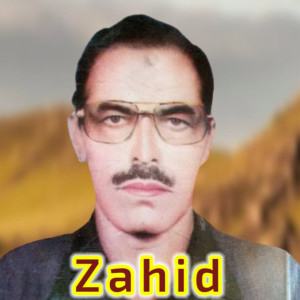 Zahid Baharuddin的专辑Khudaya Sanga Bewafa Me Pa Naseb Sho