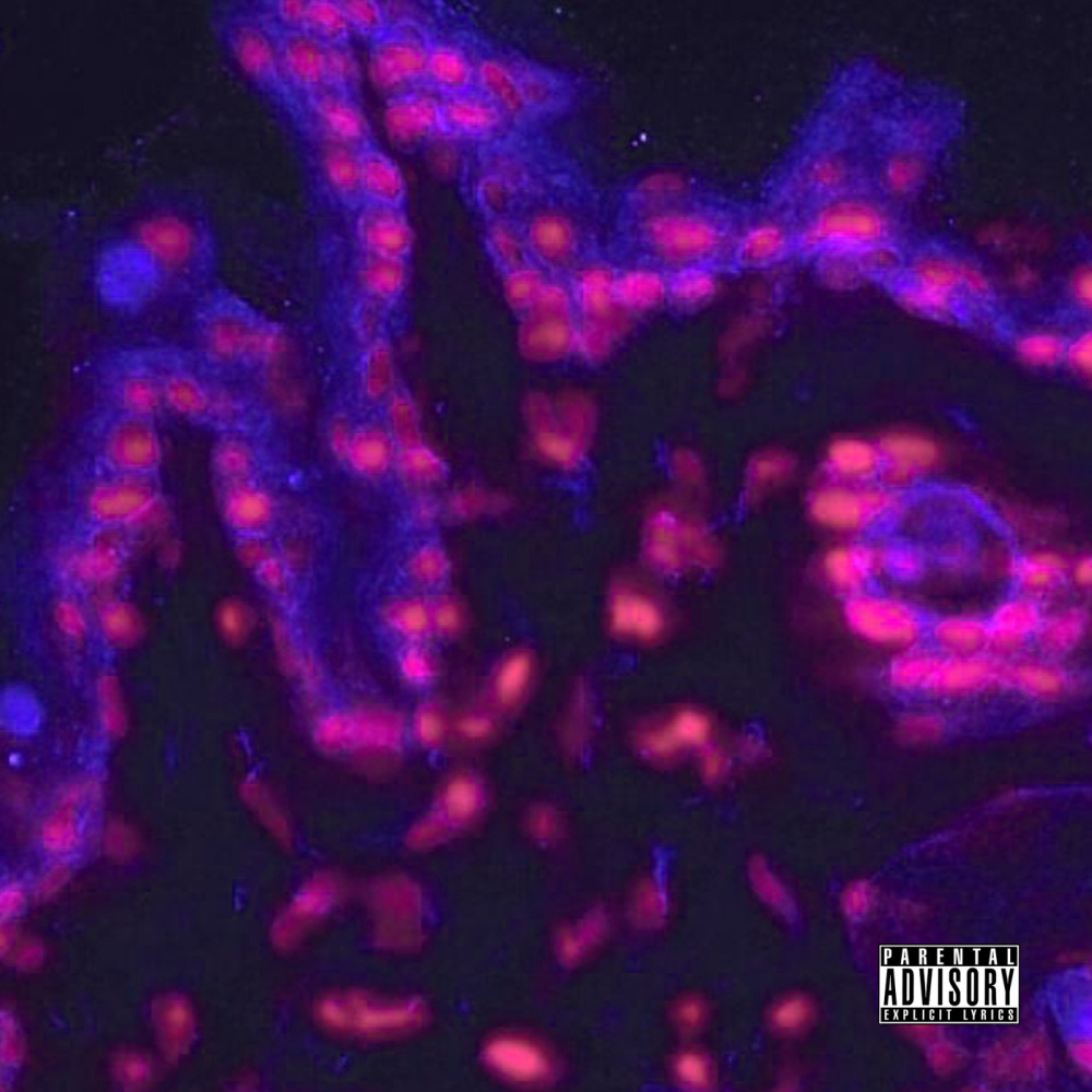 Venom Stains (feat. Ragin Soulo) (Explicit)