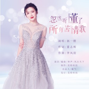 Album 忽然听懂了所有苦情歌 from 