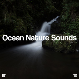 !!!" Ocean Nature Sounds "!!!