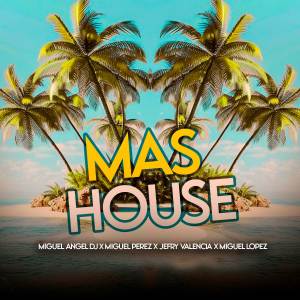 Various Artists的專輯MAS HOUSE (TECH HOUSE)