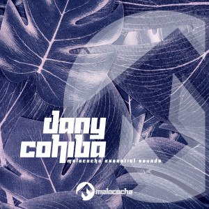 Listen to Qui Zomba song with lyrics from Dany Cohiba