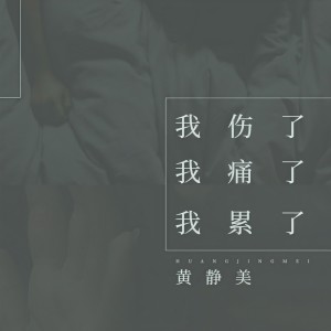 Listen to 我伤了我痛了我累了 song with lyrics from 黄静美