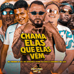 Dengarkan lagu CHAMA ELAS QUE ELAS VEM (Explicit) nyanyian Afinho do Fluxo dengan lirik
