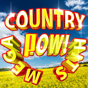 ดาวน์โหลดและฟังเพลง I Can't Love You Back พร้อมเนื้อเพลงจาก Country Music Heroes