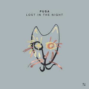 Pusa的專輯Lost in The Night