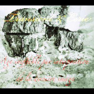 收听Transient的Âge ineffable par interposition de la dernière image歌词歌曲