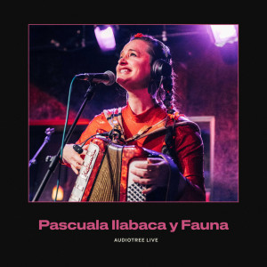 Pascuala Ilabaca y Fauna on Audiotree Live dari Pascuala Ilabaca y Fauna