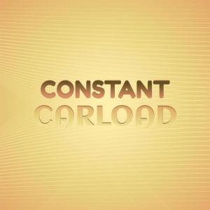 收听Taiel Dood的Constant Carload歌词歌曲