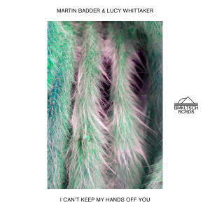 Album I Can't Keep My Hands Off You (Extended) from Martin Badder