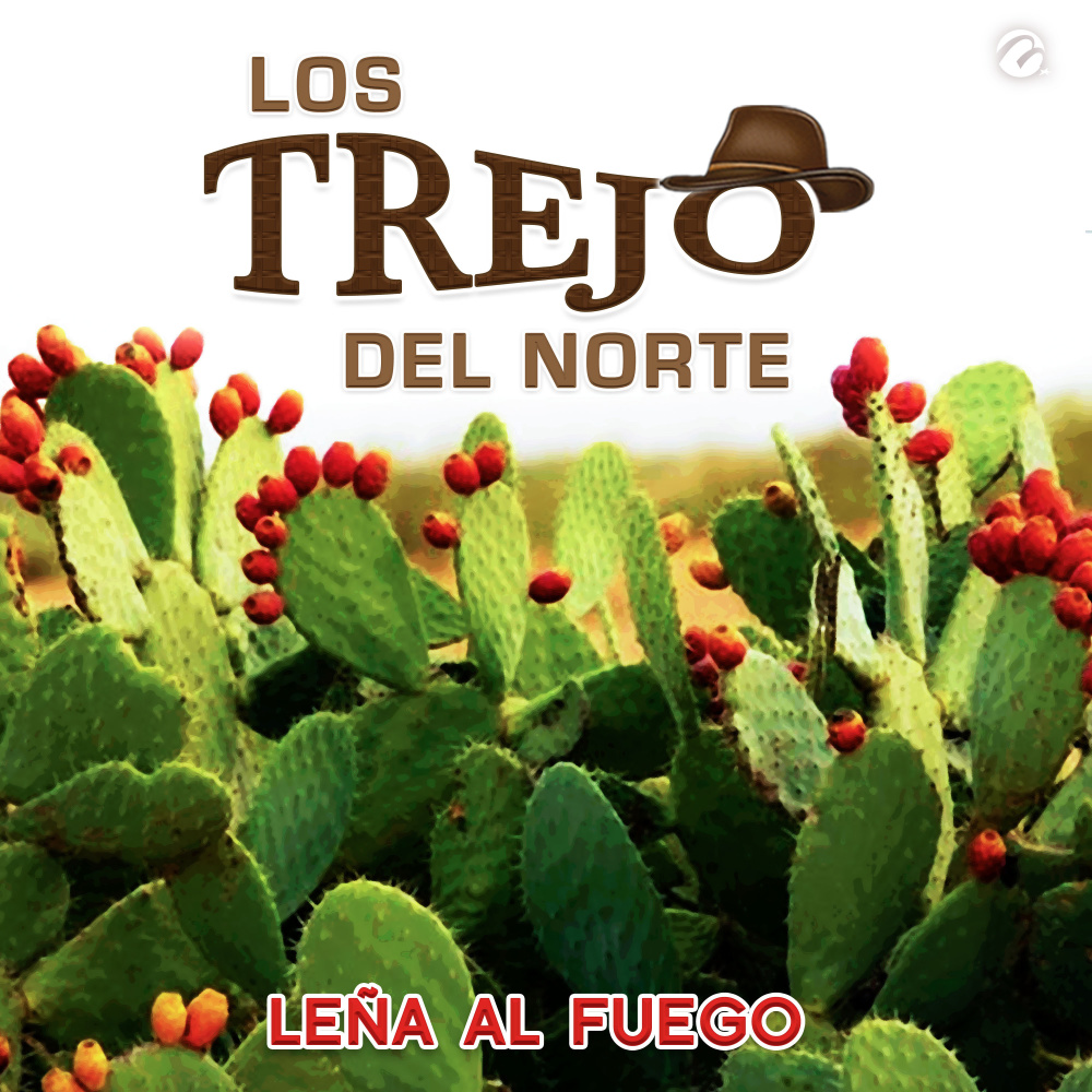 Leña Al Fuego