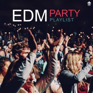 Album EDM Party from Various Artists