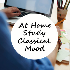 Listen to Sinfonia Concertante in E flat major, KV. 364: III song with lyrics from The St Petra Russian Symphony Orchestra