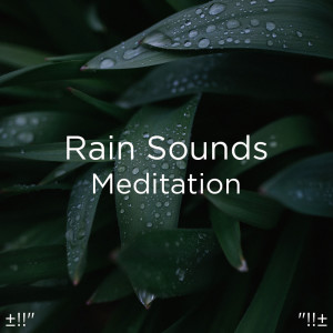 收聽Rain Sounds的環境聲音歌詞歌曲