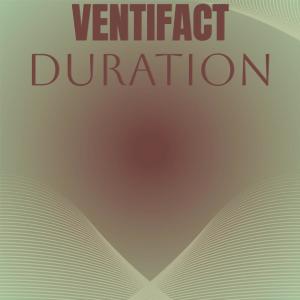 Various Artists的專輯Ventifact Duration