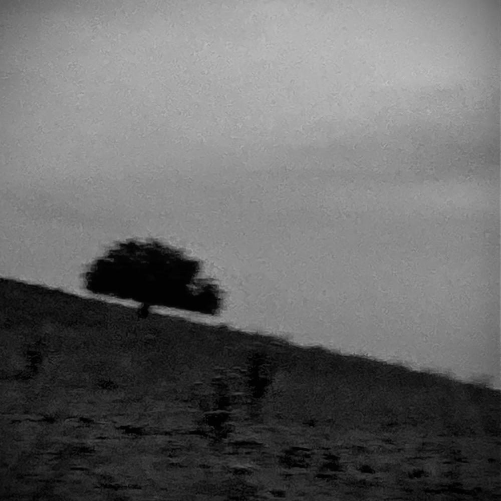 Here With You (unmastered) 2024