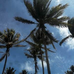 ดาวน์โหลดและฟังเพลง Really Real (Explicit) พร้อมเนื้อเพลงจาก ratedfamous mp