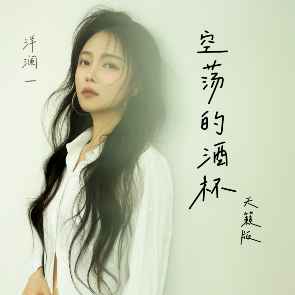 空荡的酒杯 (DJ沈念版)