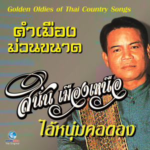 Listen to ปีใหม่เมือง song with lyrics from สนั่น เมืองเหนือ