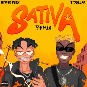 收聽Hydee flex的Sativa (Remix)歌詞歌曲