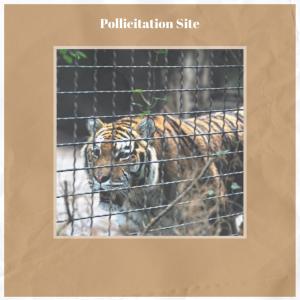 Listen to Skank Echocardiogram song with lyrics from Suie Beter