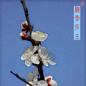 收聽梅雪後主的梅開一度歌詞歌曲