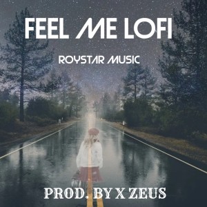 Listen to FEEL ME LOFI song with lyrics from ROYSTAR MUSIC