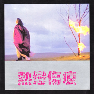Listen to 初戀 song with lyrics from 刘淑娟