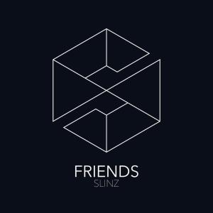Listen to Friends (Original Mix) song with lyrics from Slinz