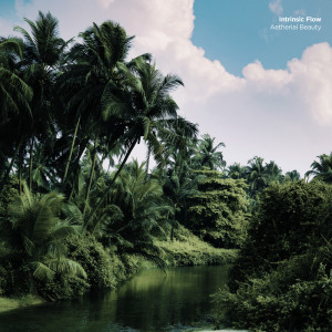 Album Aetherial Beauty from Intrinsic Flow