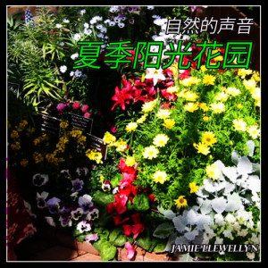 收聽Jamie Llewellyn的自然的聲音: 夏季陽光花園歌詞歌曲