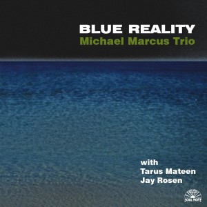 Michael Marcus Trio的专辑Blue Reality