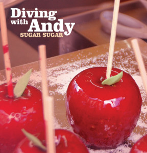 ดาวน์โหลดและฟังเพลง Sugar Sugar พร้อมเนื้อเพลงจาก Diving with Andy