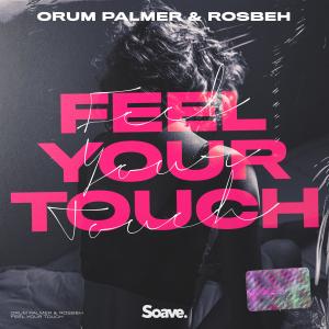 Listen to Feel Your Touch song with lyrics from Orum Palmer