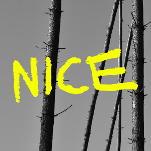 Album Exkurs II NICE from 