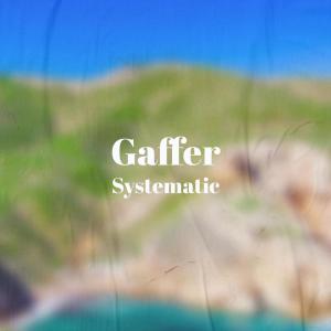 ดาวน์โหลดและฟังเพลง Gaffer Systematic พร้อมเนื้อเพลงจาก Barbine