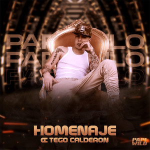 Papi Wilo的專輯Homenaje A Tego Calderon