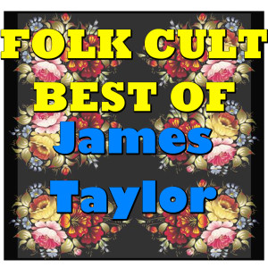 ดาวน์โหลดและฟังเพลง Secret Of Life (Live) พร้อมเนื้อเพลงจาก James Taylor