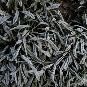 Dengarkan lagu Mothers Womb nyanyian Spa Music Relaxation dengan lirik