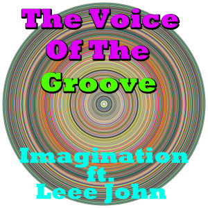 The Voice Of The Groove