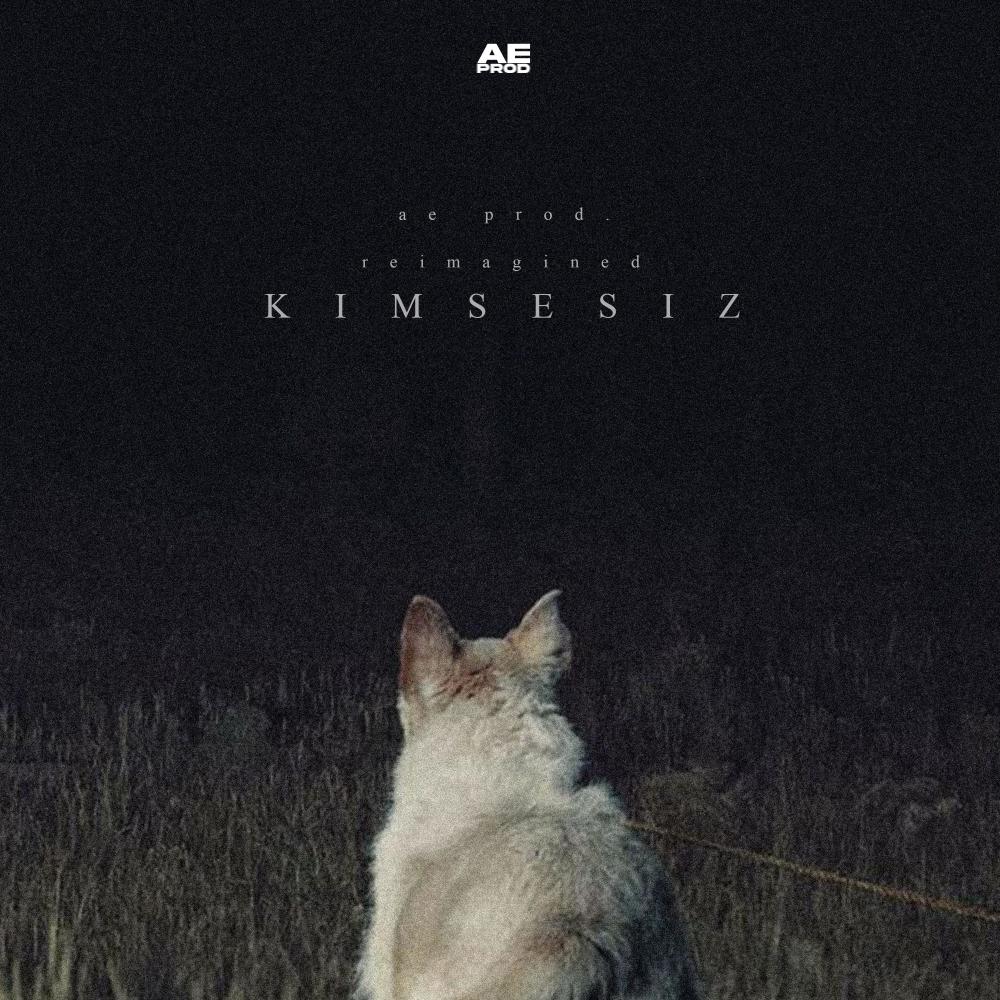Kimsesiz (feat. Zero Beats) (Reimagined)
