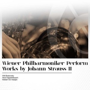 ดาวน์โหลดและฟังเพลง Wiener Blut, Op. 354 พร้อมเนื้อเพลงจาก Vienna Philharmonic Orchestra