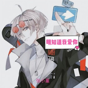 Album 明知道我爱你 from 张小董