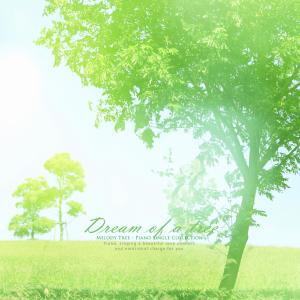 Album Tree Dreams from 멜로디트리