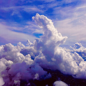 Listen to Horse and I song with lyrics from POP MORRISON