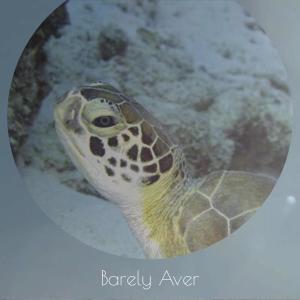 Listen to Barely Aver song with lyrics from Nande Budi