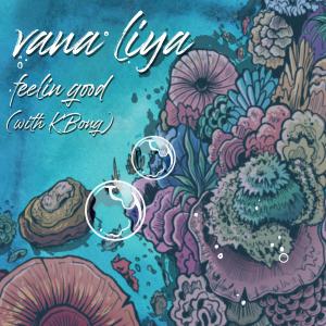 Album Feelin' Good from Vana Liya