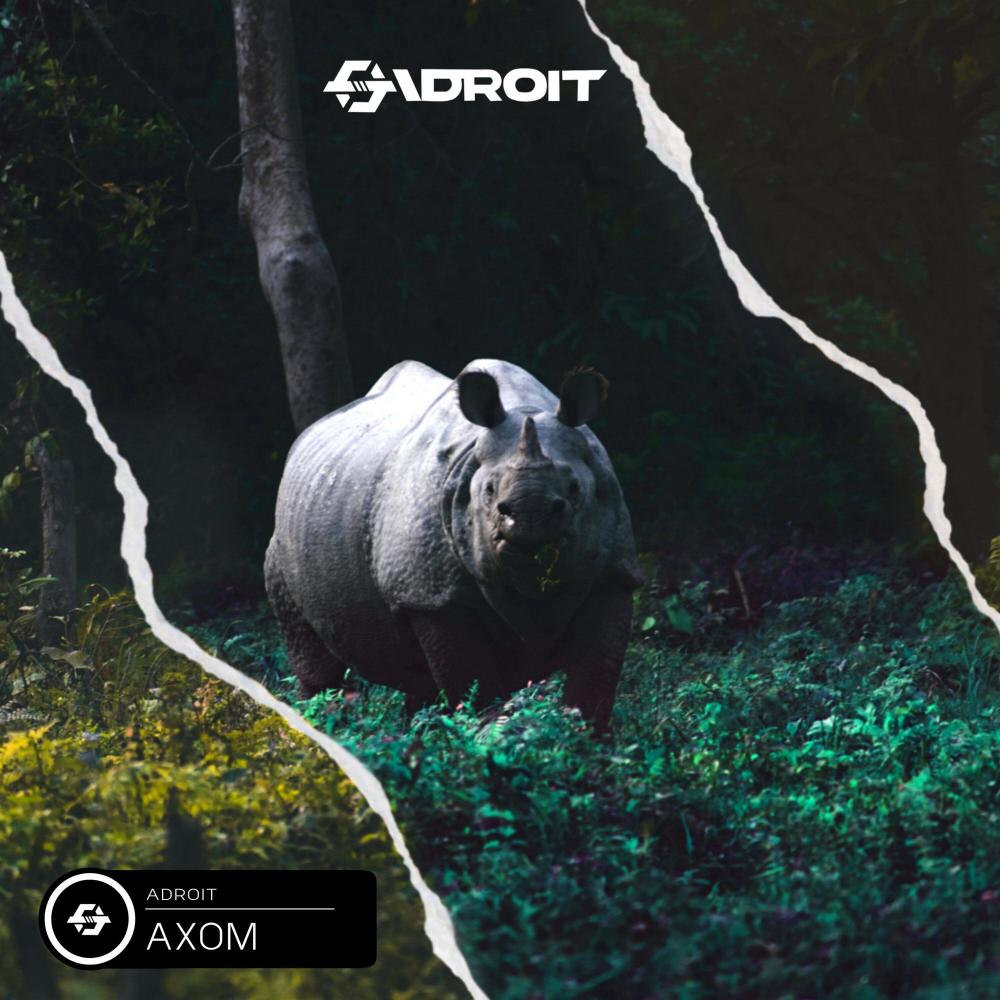 AXOM
