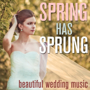 Romantic Wedding Band的專輯April Wedding Music, 30 Songs for a Perfect Spring Wedding